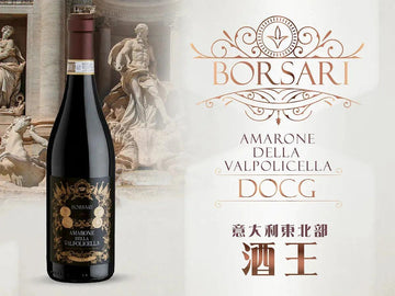 【東北部酒王】BORSARI AMARONE Della Valpolicella DOCG 2019